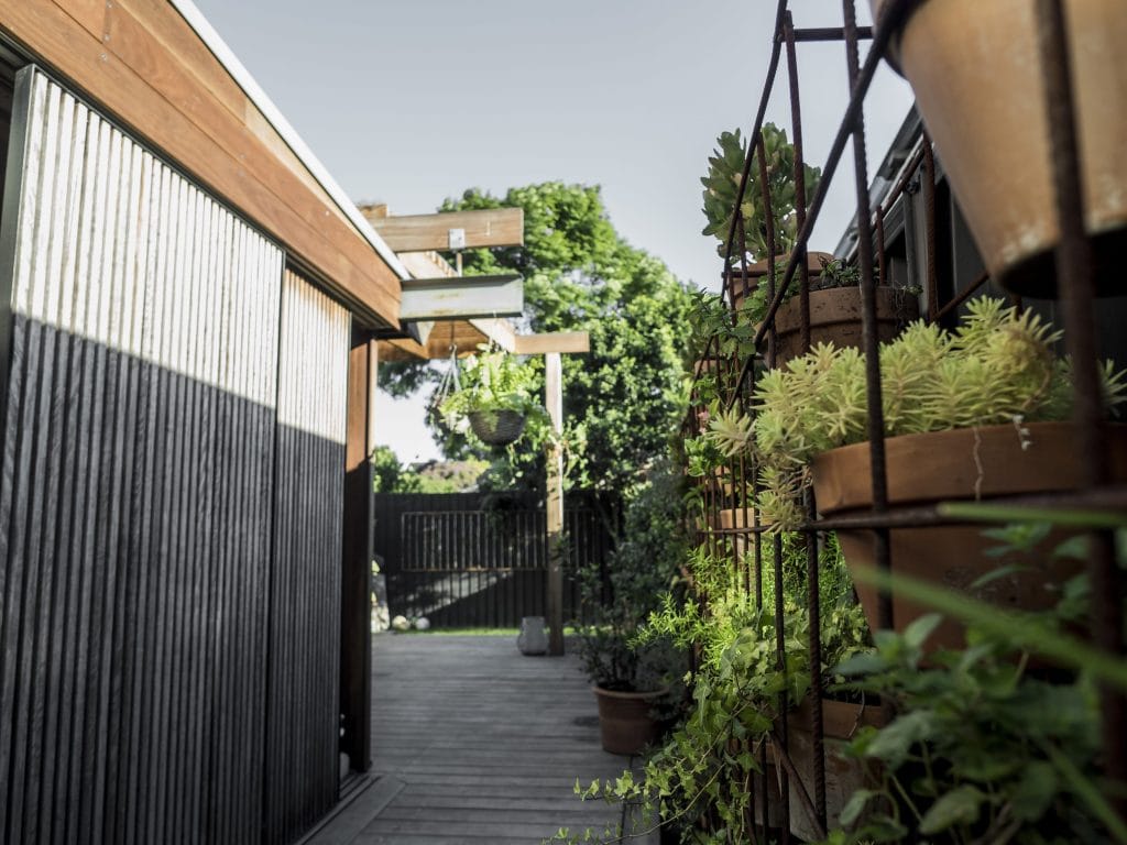 A vertical potted garden outside a renovated worker’s cottage in Botany