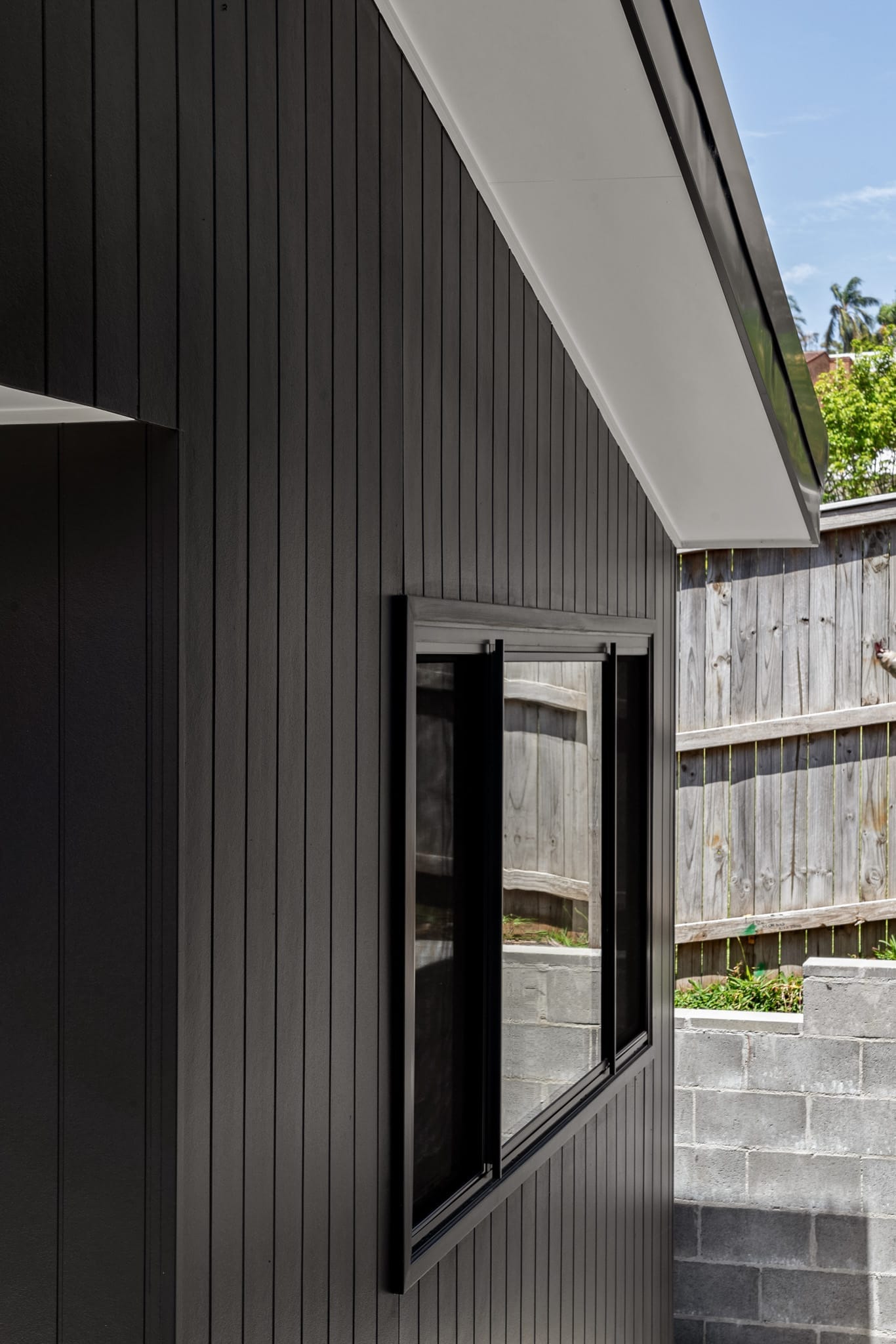 Exterior view of a black framed window within a black exterior wall.