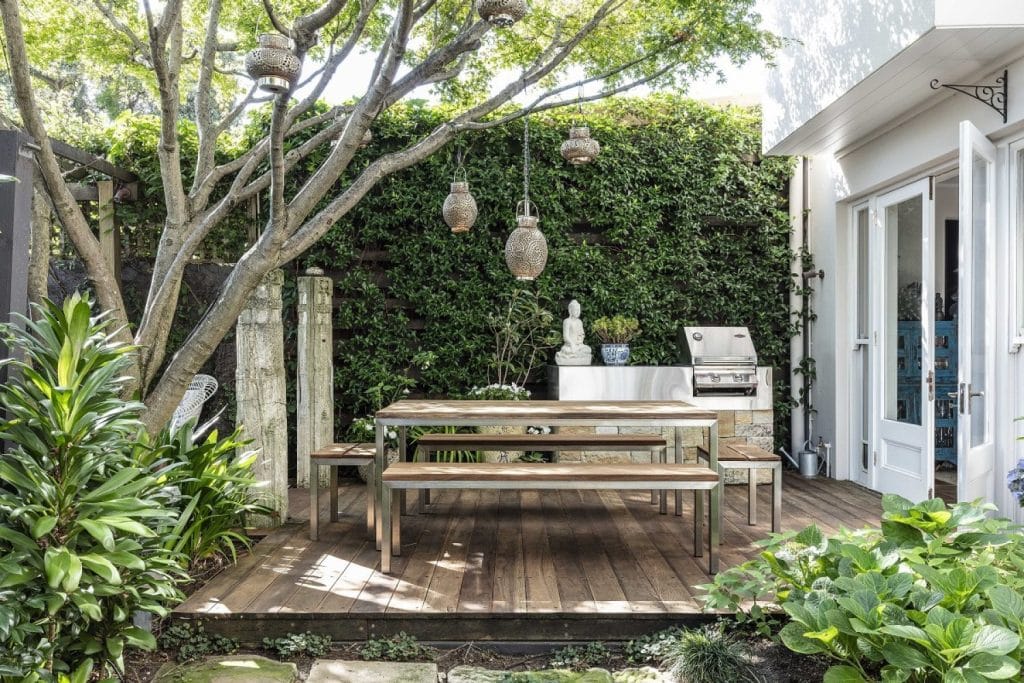 A leafy garden with deck overhung by a maple tree in Paddington NSW